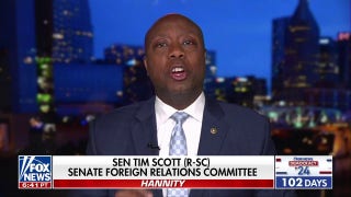 Kamala is more aggressive against Israel than Biden: Sen. Tim Scott - Fox News