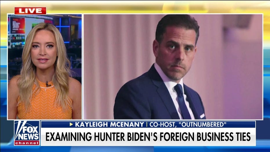 Mcenany Slams Media S Hunter Biden Cover Up They Hid The Story And Influenced The Election Fox News