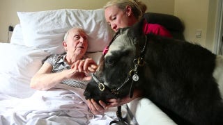 'Little bit of happiness': Woman brings her ponies to care homes to lift spirits and boost mental health - Fox News