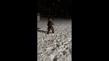 Adorable dog spotted jumping for snowflakes in town’s winter wonderland