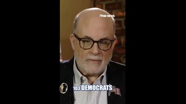 Pollster calls anti-Israel shift in Democratic Party a litmus test