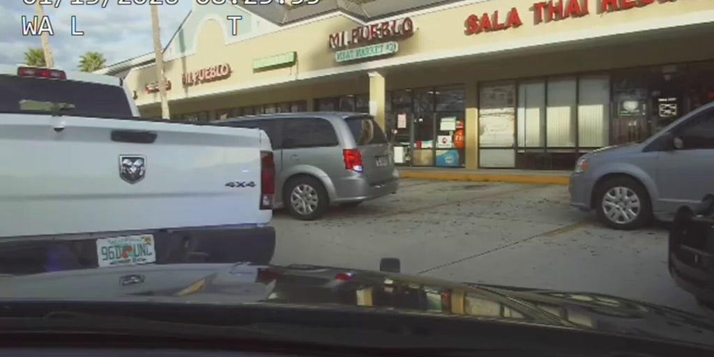 Anti-ICE agitator allegedly resists arrest, smiles after kicking toward officers in Florida