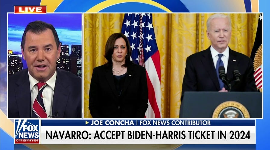 Joe Concha rips Ana Navarro's push for Dems to support Biden-Harris: 'This is the Republican on the show'