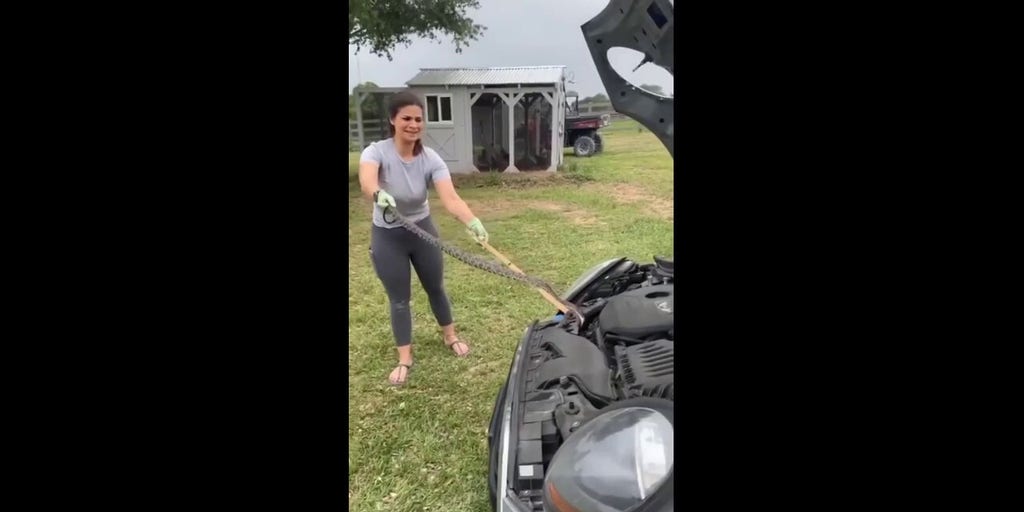 Nicole Graham removes a snake from her daughter s car in Burton Texas Courtesy of Nicole Graham