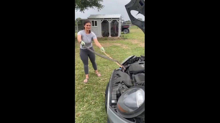 Nicole Graham removes a snake from her daughter's car in Burton, Texas (Courtesy of Nicole Graham)