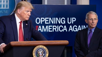 Media push Trump-Fauci battle