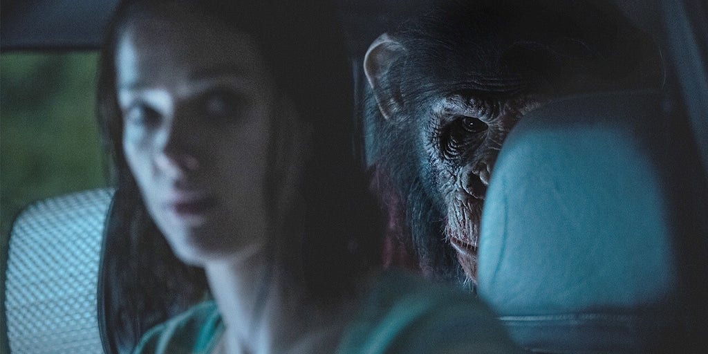 'Primate' trailer