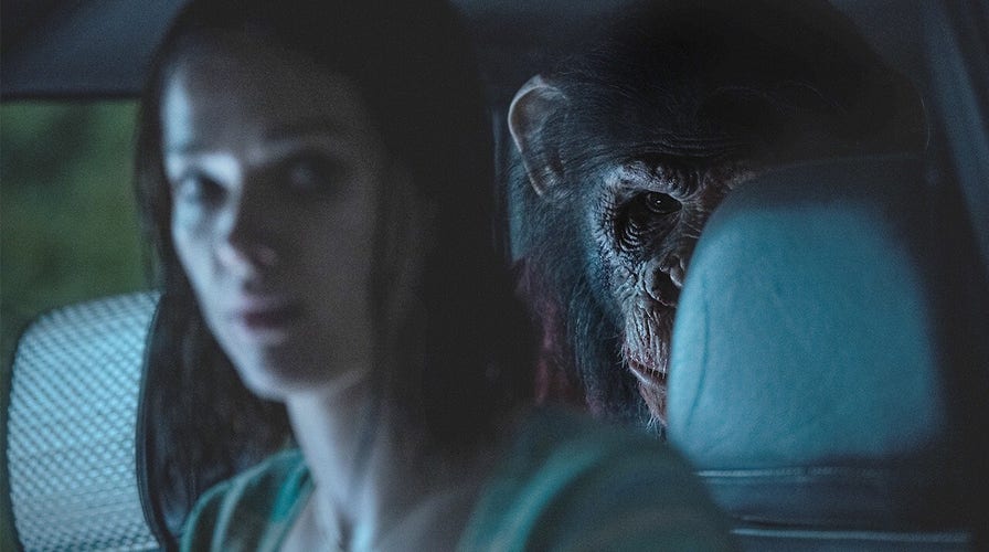'Primate' trailer