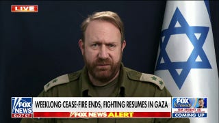 Israel is 'taking the fight back' to Hamas: Lt. Col. Peter Lerner - Fox News
