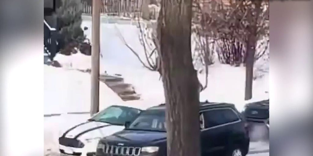 New video shows minutes leading up to deadly Minneapolis ICE shooting