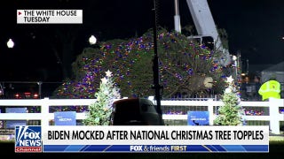 Biden mocked after White House Christmas tree tumbles - Fox News