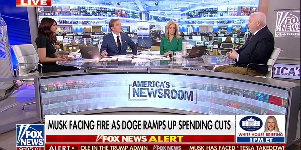 Democrats oppose DOGE’s efforts to cut government spending