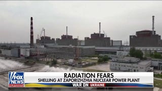 Damage at Ukrainian power plant prompts fears over potential nuclear disaster - Fox News