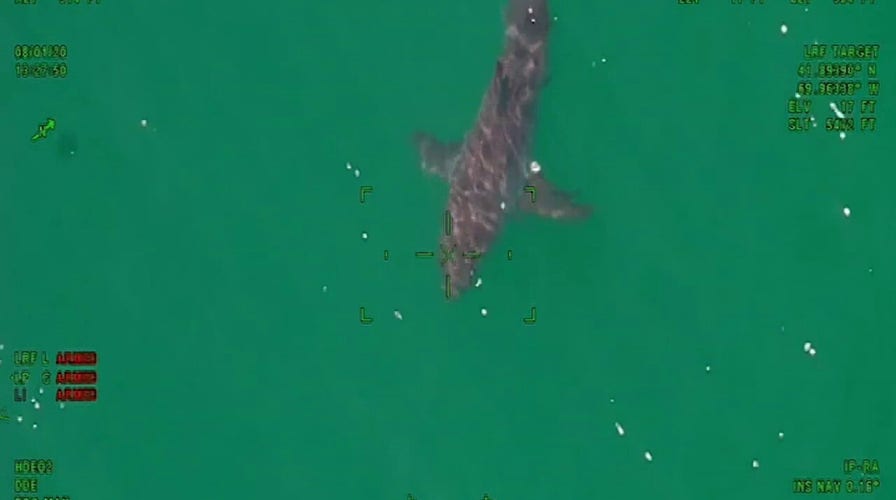 Nassau County Police's 'shark patrol' helps keep the beaches safe