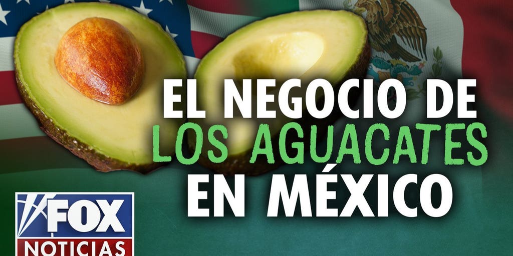 ¿Cárteles y Aguacates?
