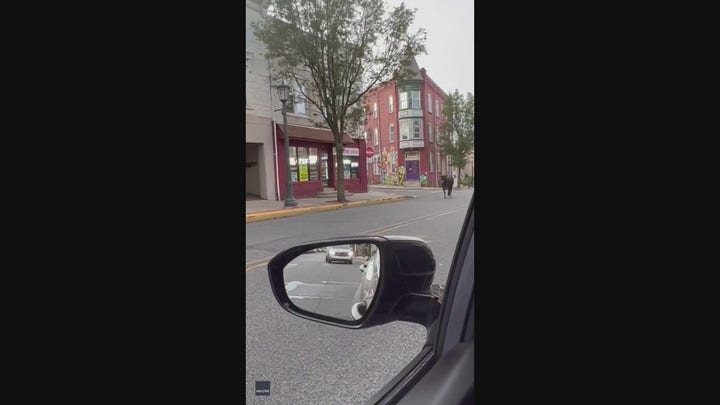 Police chase loose cow at Pennsylvania university