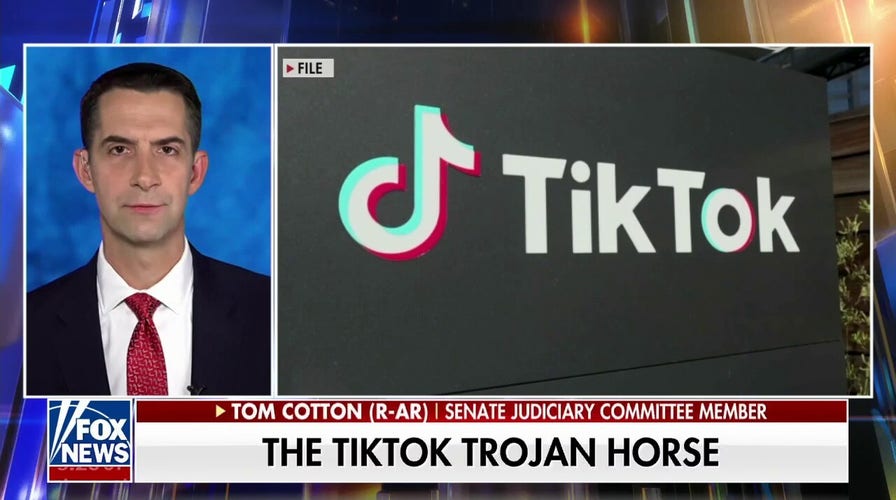  Sen Tom Cotton: Delete TikTok right now and get a new phone