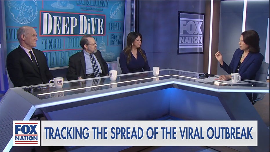 Coronavirus may have sprung from 'perfect mixing pot,' infectious