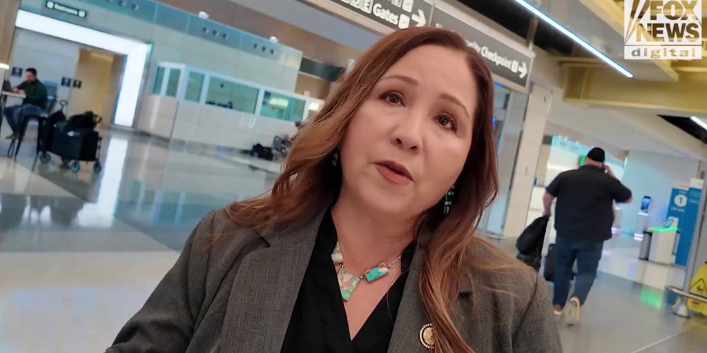 Democrats blast Trump’s use of immigration enforcement agents to back up understaffed airport security as government shutdown nears 40-day mark