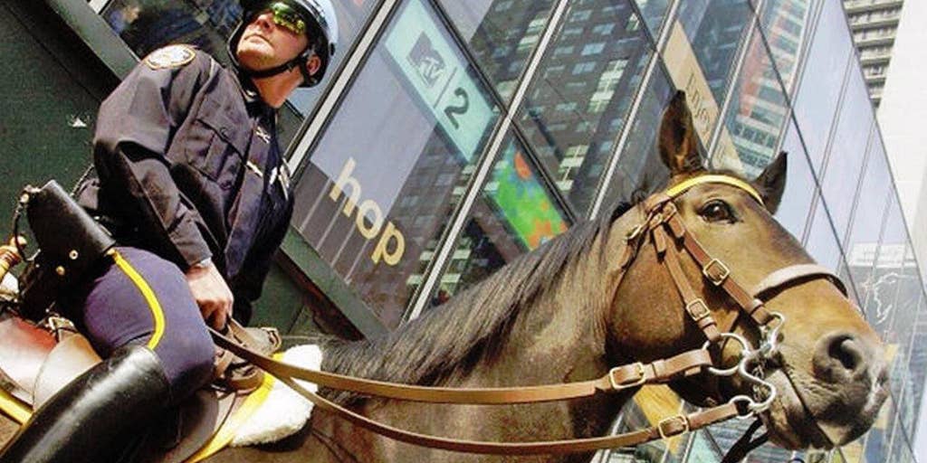 NYPD horses play vital role when protecting the public Fox News Video