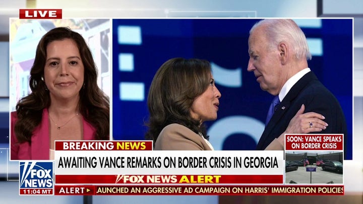 Kamala Harris ‘owns’ the illegal immigration issue: Elise Stefanik