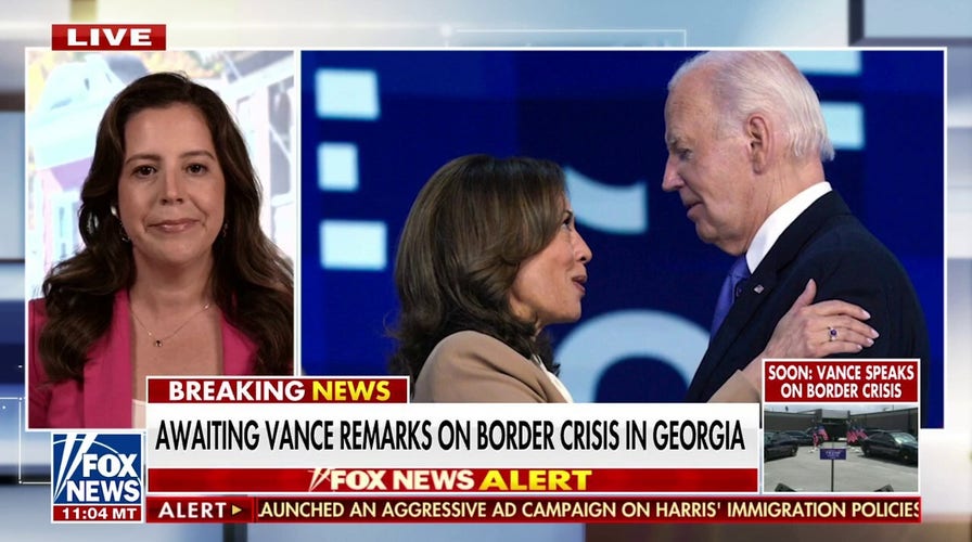 Kamala Harris ‘owns’ the illegal immigration issue: Elise Stefanik