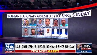 Sleeper cell concerns: ICE arrests 15 Iranians following US strikes