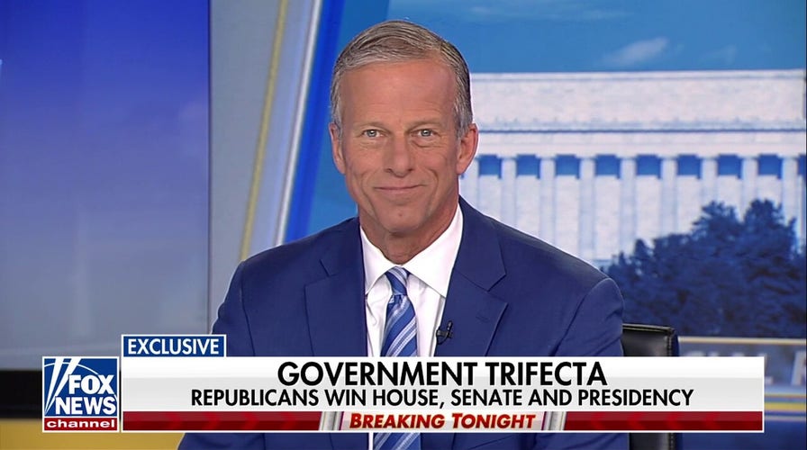 We won't allow Democrats to thwart the will of the American people, says incoming Senate majority leader