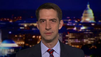 Sen. Cotton: Biden, Schumer trying to ‘ram’ costly infrastructure bill through Senate
