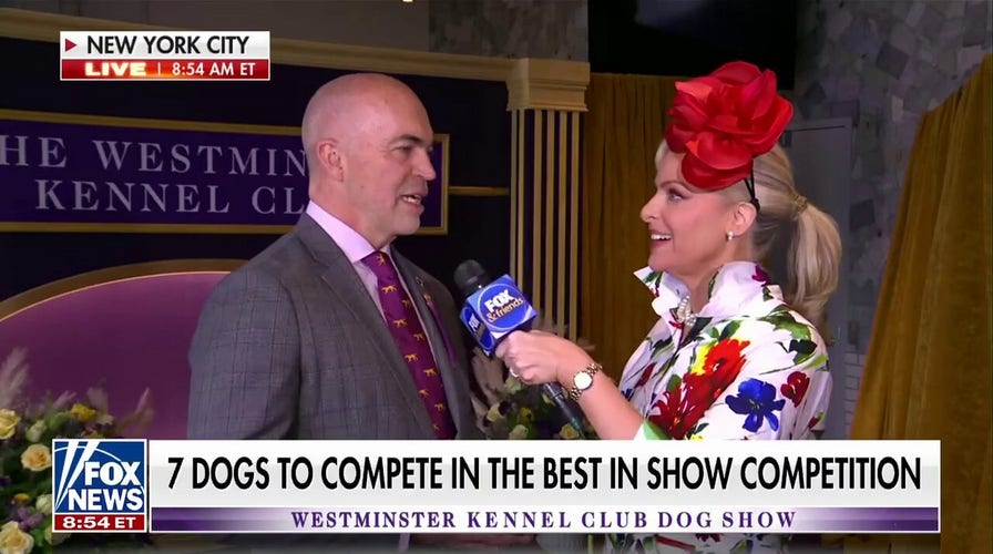 Seven dogs to compete in Westminster Best in Show competition