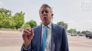 Republican senators react to Medicaid, Elon v. Musk feud: ‘He’s not the CEO here’