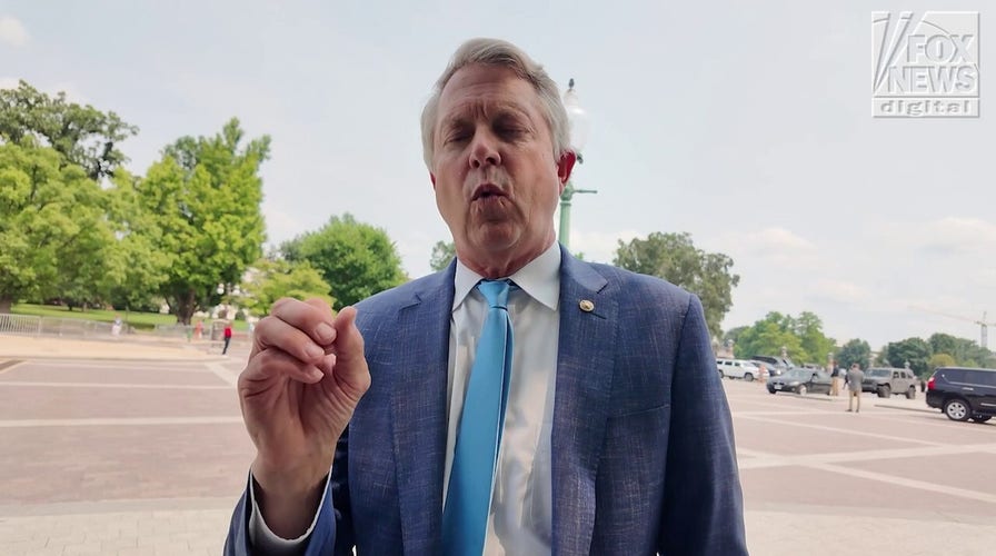Republican senators react to Medicaid, Elon v. Trump feud: ‘He’s not the CEO here’
