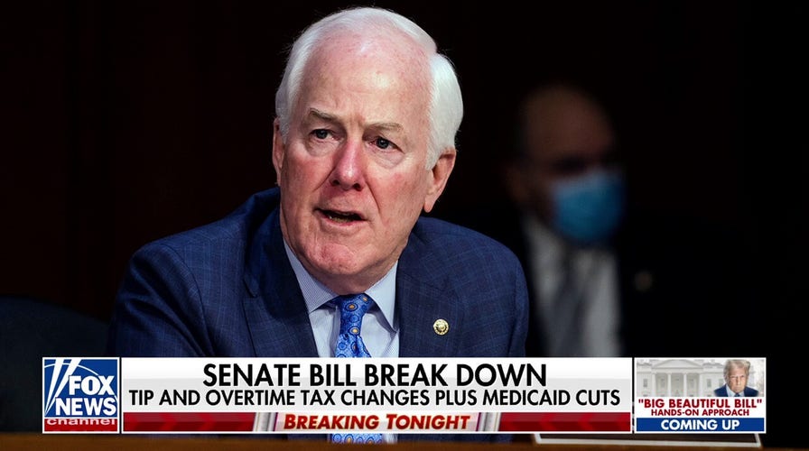  Democrats hope Thom Tillis' impassioned no vote against Trump's 'big, beautiful bill' will be a 'gateway'