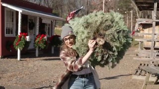 Kat tries cutting down a Christmas tree - Fox News