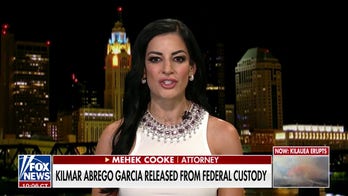 Attorney sounds off on judge over Kilmar Abrego Garcia release: We're witnessing 'judicial sabotage'