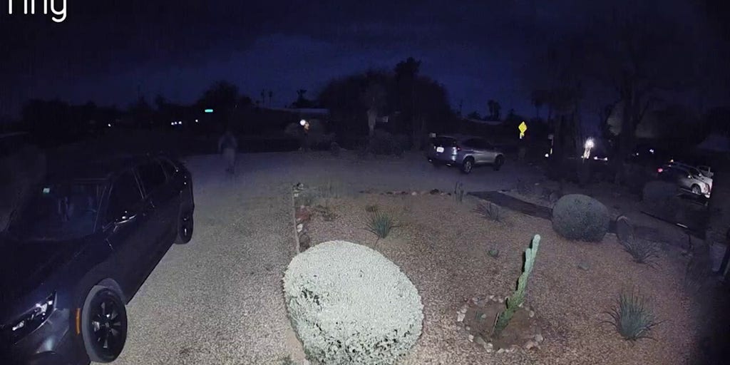 Man seen checking car door handle near Nancy Guthrie's home