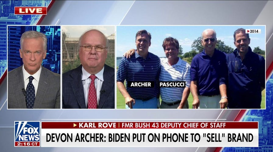 ‘It stinks’: Biden should have talked about his son about his business deals, says Karl Rove