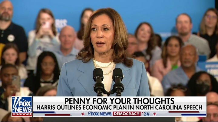  Kamala Harris outlines economic plan in North Carolina speech