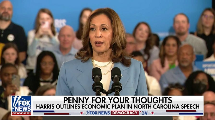  Kamala Harris outlines economic plan in North Carolina speech