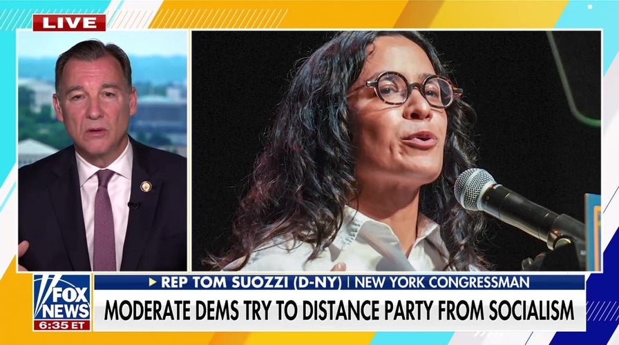 Rep. Tom Suozzi calls for moderate Democrats to organize and push back against extremes
