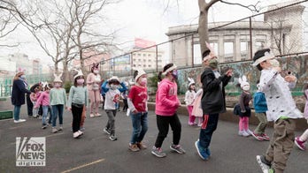 Professors slam critical race theory opponents