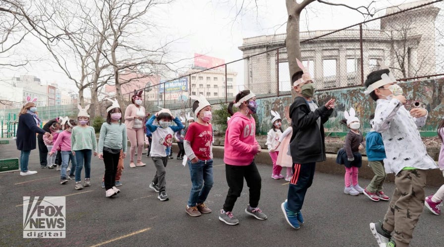 Professors slam critical race theory opponents