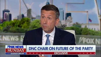 DNC chair says Democrat lawmakers will stand up to ‘excesses’ and ‘ extremes’ of Trump