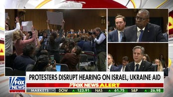 Anti-Israel protesters disrupt Senate hearing multiple times