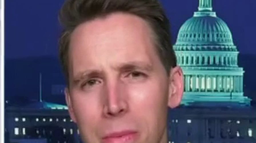 Ga. election observers complain of difficulty seeing vote counts