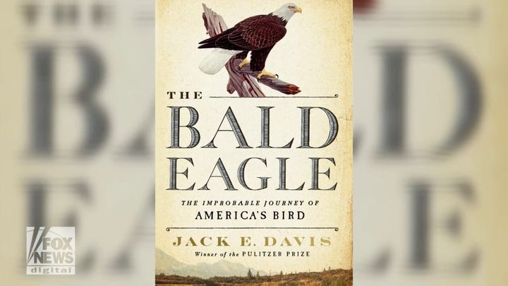Jack E. Davis tells compelling history of 'all-American' bald eagle in new book