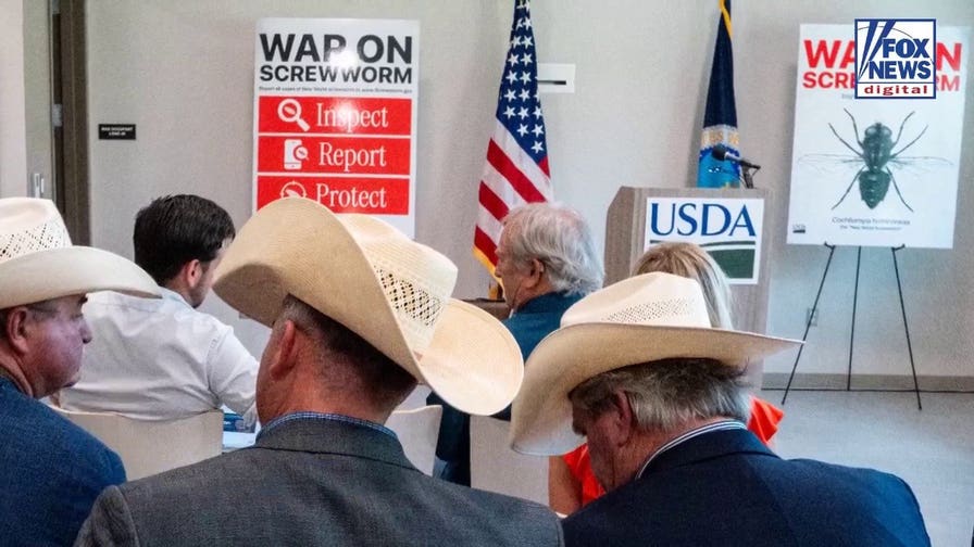 Deadly flesh-eating parasite discovered in Texas elk as officials warn hunters