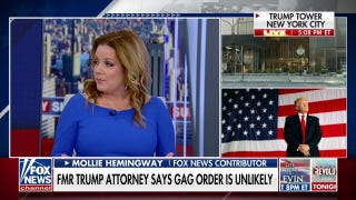 This is about election interference: Mollie Hemingway  - Fox News