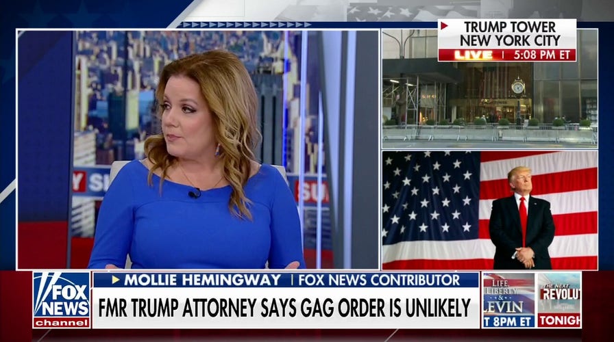 This is about election interference: Mollie Hemingway 