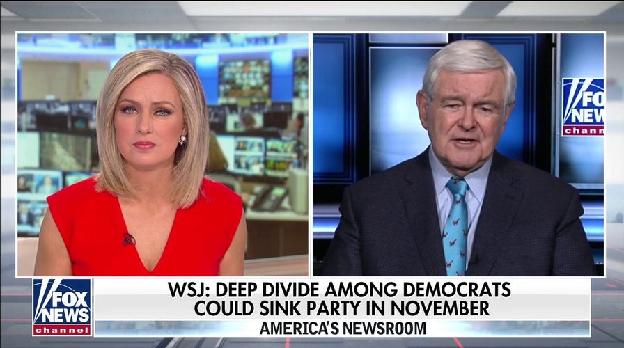 Newt Gingrich: Dems want to shoot at Trump until they get him